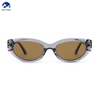 Fashion Cat Eye Retro Small Square Punk Square Acetate Frame Sunglasses Unisex for Men And Women