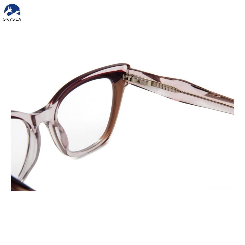 New Design Custom Logo Eyeglasses Frames Fashion Acetate Eyeglasses Glasses Optical Frame for Eyeglasses