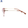 Fashionable Acetate Combine Eyeglasses Frames Cat Eye Optical Frames Spectacle Eyewear Optical Frames