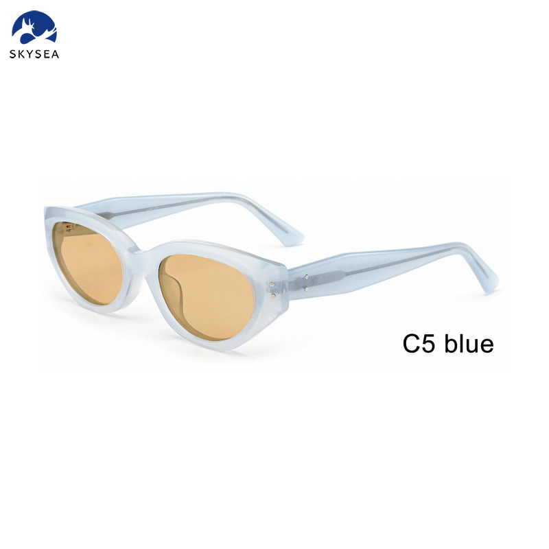 Fashion Cat Eye Retro Small Square Punk Square Acetate Frame Sunglasses Unisex for Men And Women