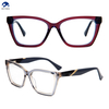New Arrival Colorful Eyeglasses Fashionable Colorful Acetate Eyeglass Frames for Woman Multicolor Glasses Delicate Glasses Women